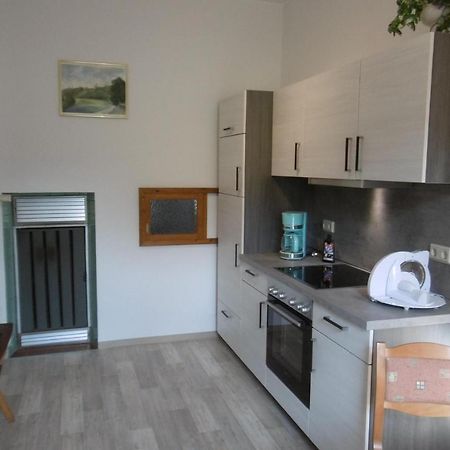 Ferienwohnung Rauscher Altenberg المظهر الخارجي الصورة