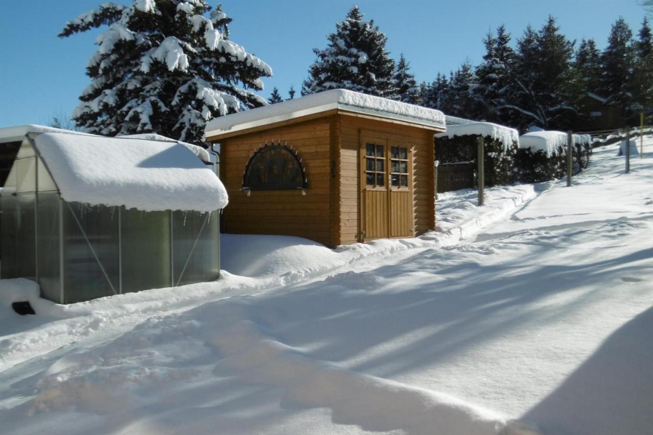Ferienwohnung Rauscher Altenberg المظهر الخارجي الصورة
