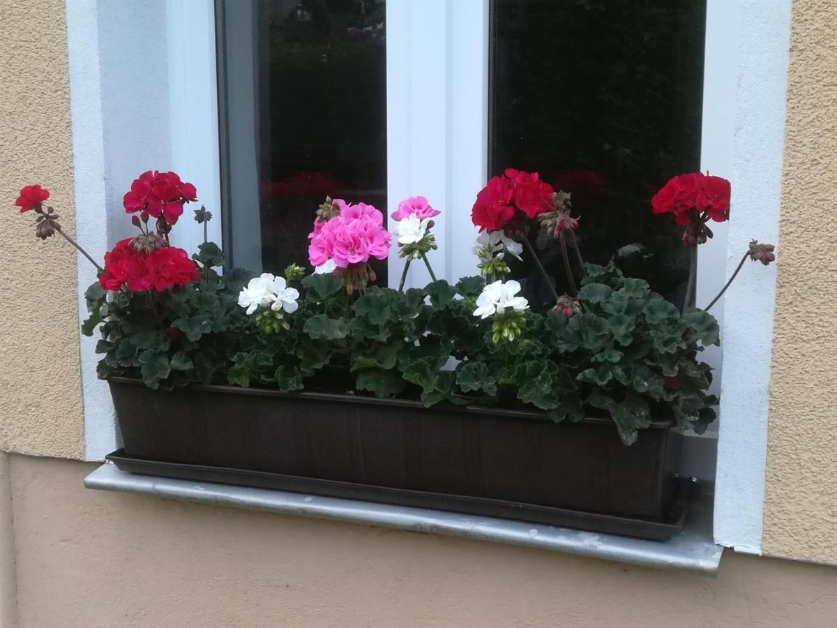 Ferienwohnung Rauscher Altenberg المظهر الخارجي الصورة