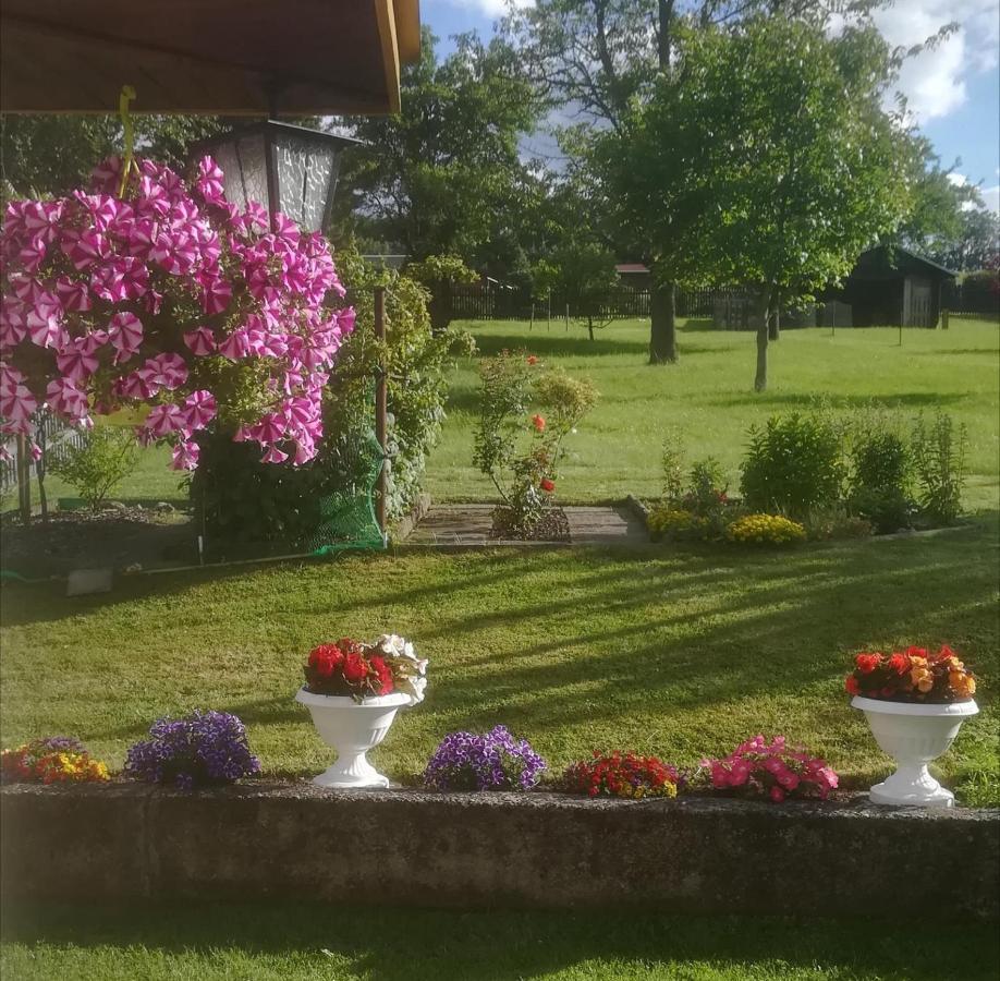 Ferienwohnung Rauscher Altenberg المظهر الخارجي الصورة