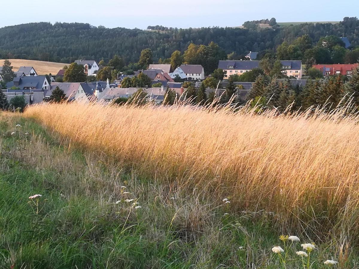 Ferienwohnung Rauscher Altenberg المظهر الخارجي الصورة